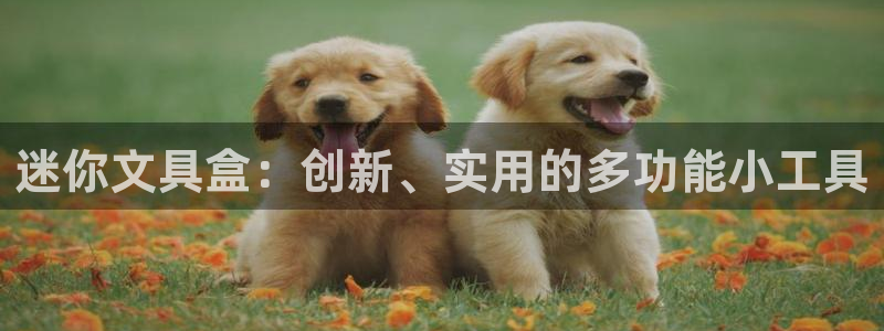 ag九游会老哥