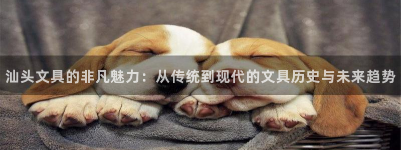 ag亚洲九游会