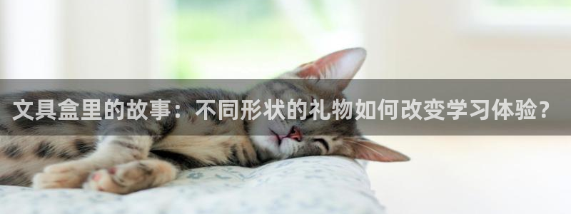 手机九游会