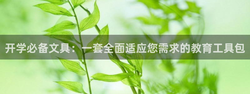 九游会和亚游：开学必备文具：一套全面适应