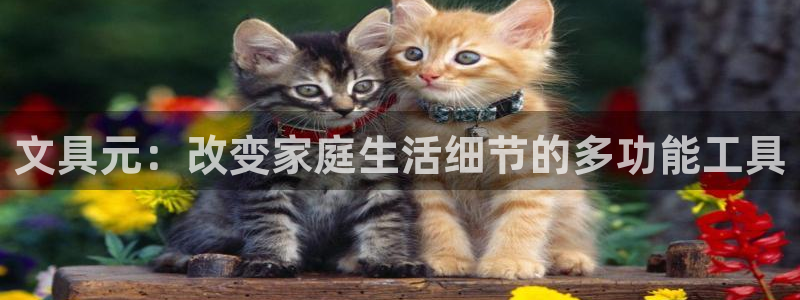 九游会登录官网账号吗：文具元：改变家庭生