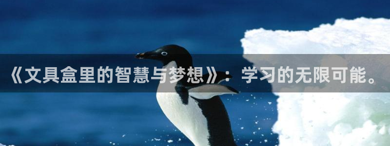 九游会网页版入口：《文具盒里的智慧与梦想