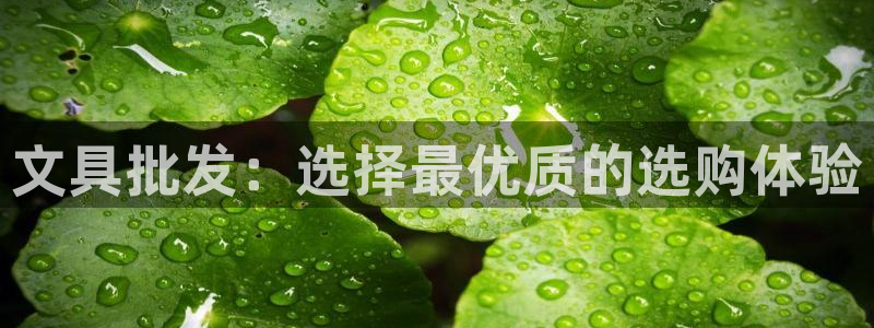 九游会的网址：文具批发：选择最优质的选购