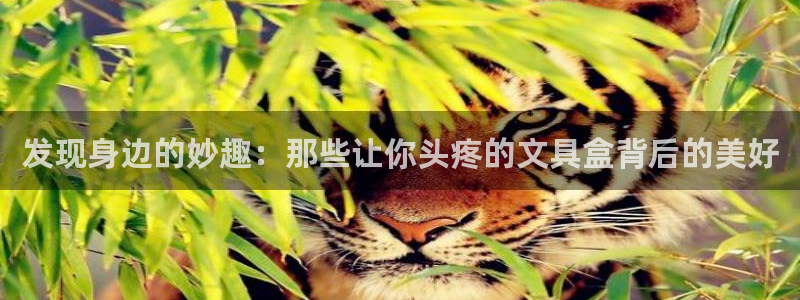 九游会体育网页