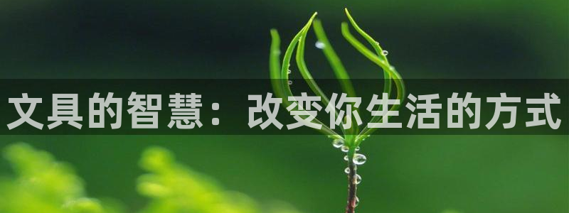 九游会网址九：文具的智慧：改变你生活的方