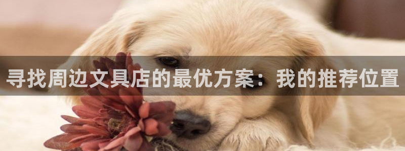 九游会国际集团：寻找周边文具店的最优方案