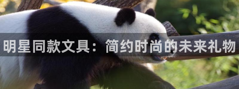 九游会官网登录中心在哪：明星同款文具：简