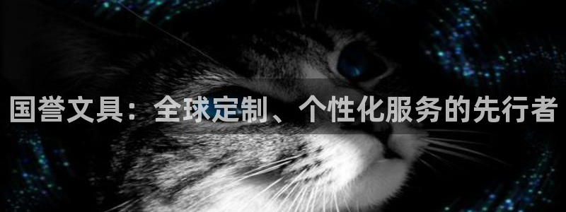 ag亚游九游会：国誉文具：全球定制、个性