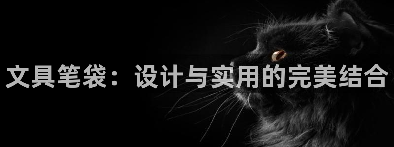 登录   九游会：文具笔袋：设计与实用的