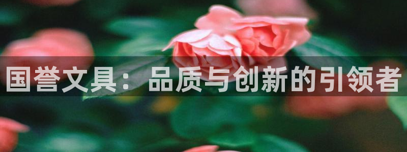 j9九游会国际版：国誉文具：品质与创新的