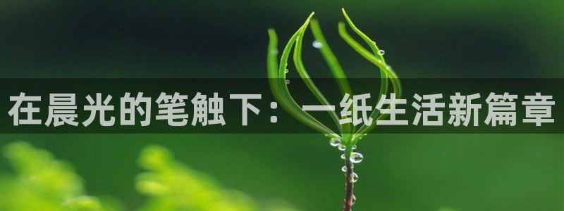 九游会备用网：在晨光的笔触下：一纸生活新