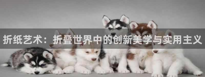 九游会登录主页：折纸艺术：折叠世界中的创