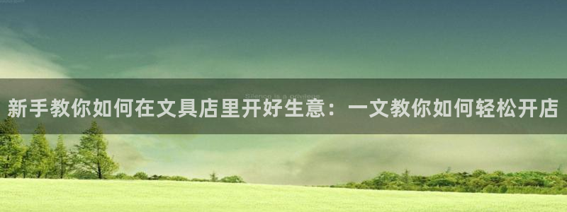 九游会af：新手教你如何在文具店里开好生