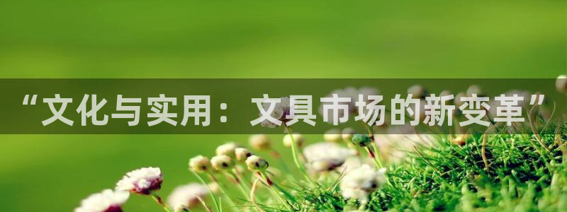 九游会赌场：“文化与实用：文具市场的新变