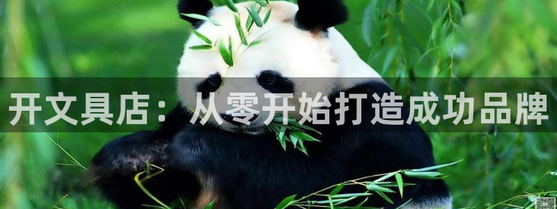 九游会官方链接：开文具店：从零开始打造成