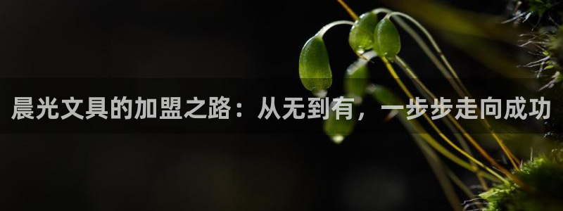 九游会官网入口下载安装：晨光文具的加盟之