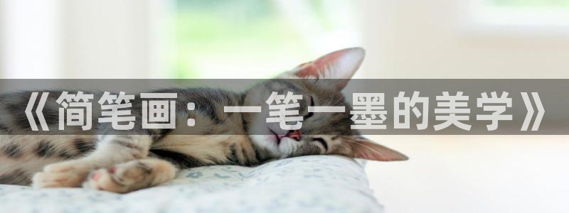 ag亚洲九游会登录：《简笔画：一笔一墨的