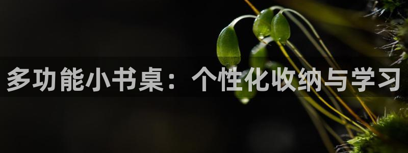 九游会app老哥俱乐部：多功能小书桌：个