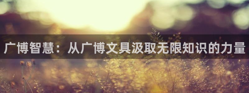 ag九游会数字货币网址：广博智慧：从广博