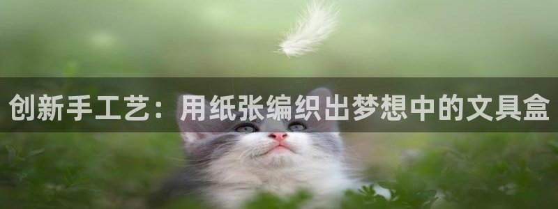 九游会凉吗：创新手工艺：用纸张编织出梦想