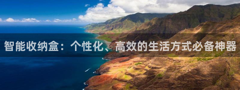 九游会双币：智能收纳盒：个性化、高效的生