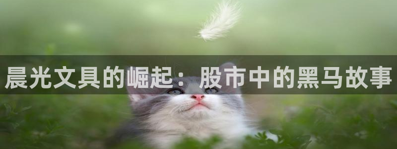 九游异地登录会怎么样吗：晨光文具的崛起：