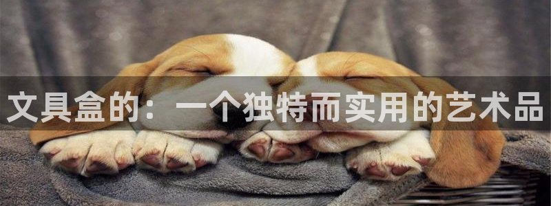 立即充值   九游会：文具盒的：一个独特