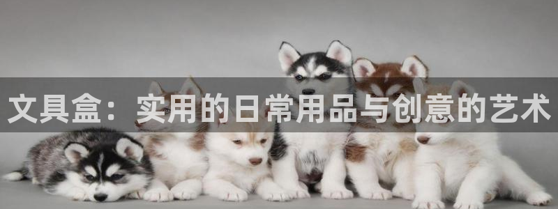 九游会赌场