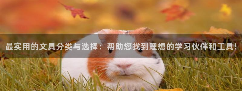 九游会老哥吧