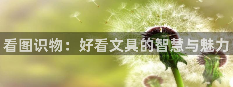 九游会ag真人官网