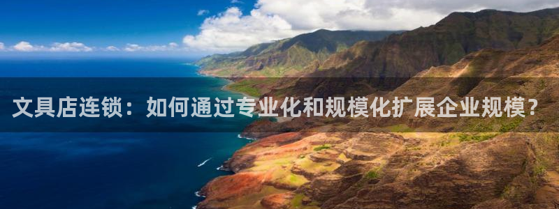 九游会怎样：文具店连锁：如何通过专业化和