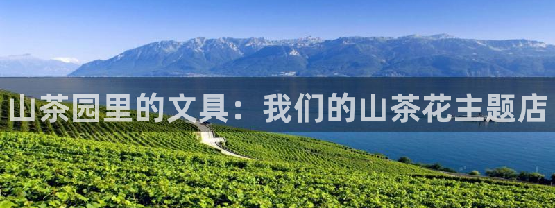 九游会app老哥俱乐部：山茶园里的文具：