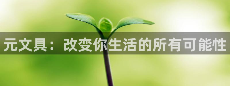 九游会官网j9j9：元文具：改变你生活的