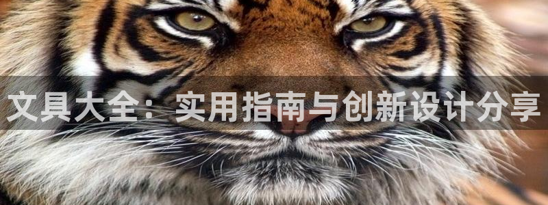 九游会能玩吗：文具大全：实用指南与创新设