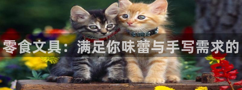 重庆九游会：零食文具：满足你味蕾与手写需