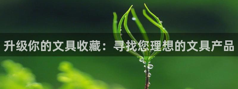 九游会官方登录网站：升级你的文具收藏：寻