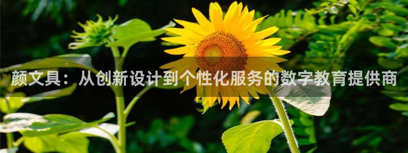 九游会黑马：颜文具：从创新设计到个性化服