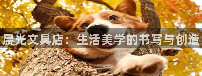 九游会官网入口在哪里：晨光文具店：生活美