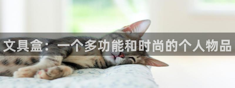 九游会官网直营店：文具盒：一个多功能和时