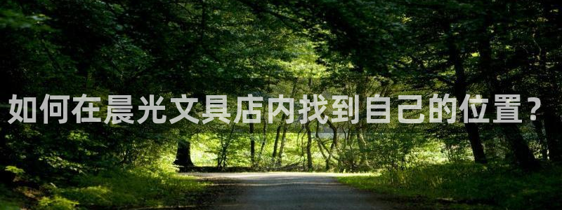 九游会无法登录账号吗：如何在晨光文具店内