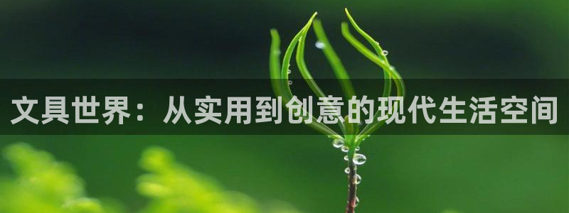 九游会删号：文具世界：从实用到创意的现代