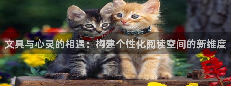 九游会能不能信：文具与心灵的相遇：构建个