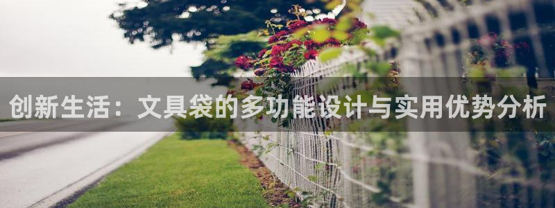九游会冲：创新生活：文具袋的多功能设计与