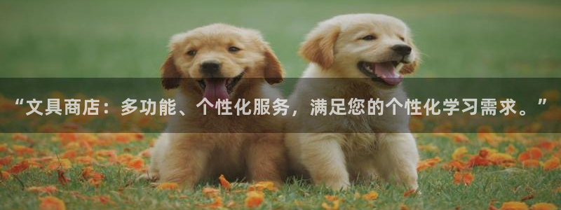 九游会官方首页：“文具商店：多功能、个性