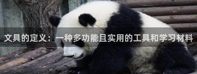 九游会体育综合