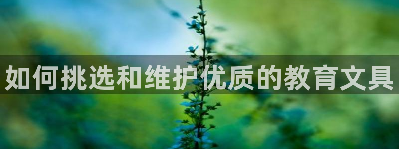 九游会体育综合：如何挑选和维护优质的教育