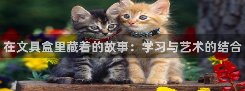 九游会老板是谁：在文具盒里藏着的故事：学