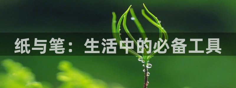 九游会连接：纸与笔：生活中的必备工具