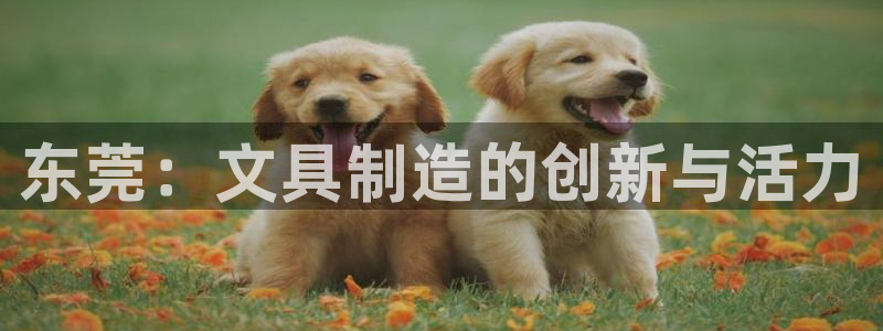 j9九游会官网：东莞：文具制造的创新与活