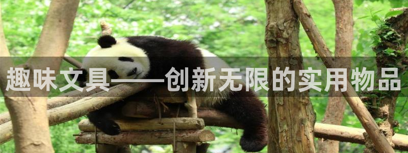 九游会体育app下载：趣味文具——创新无